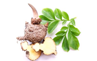 The Konjac Root: A Nutritional Powerhouse